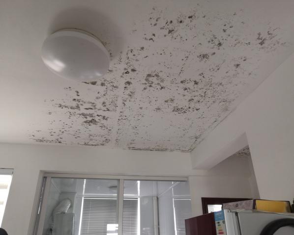 深化黨建推動(dòng)引領(lǐng)，提升租戶居住幸福指數(shù)