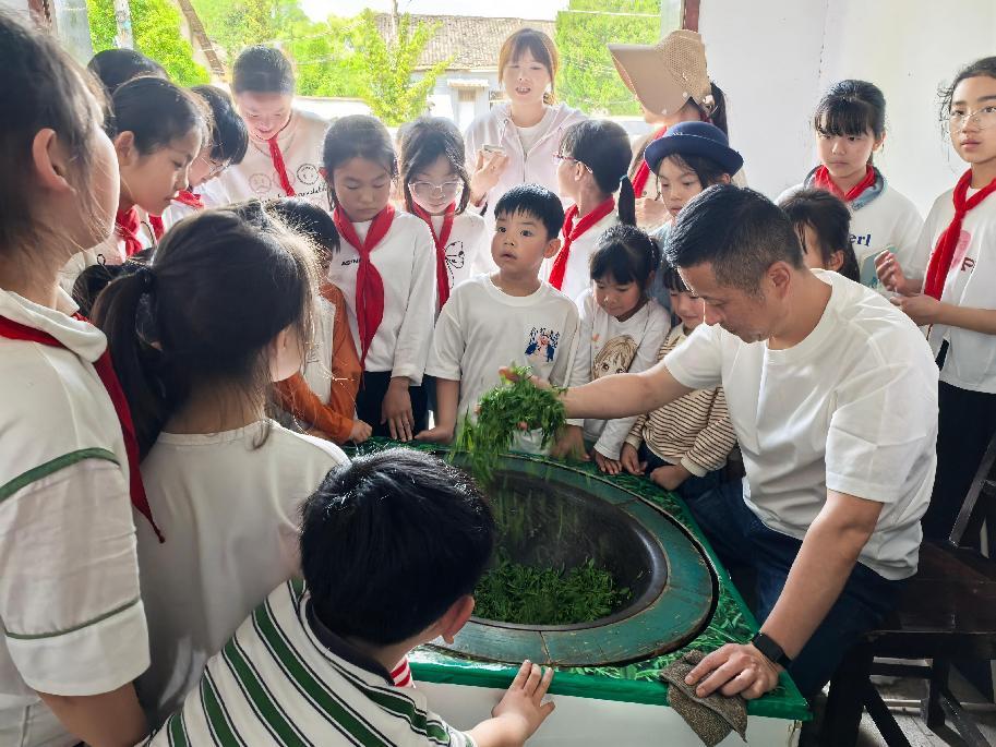 區(qū)關(guān)工委組織學(xué)生到實(shí)驗(yàn)茶場(chǎng)開展茶文化主題實(shí)踐活動(dòng)